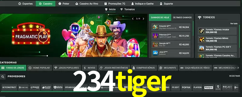 cassino 234tiger
