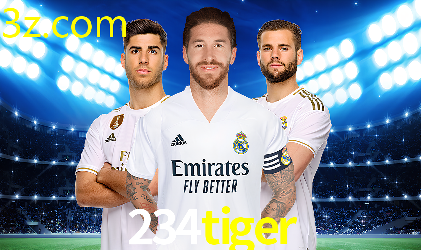 234TIGER.COM