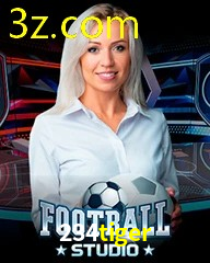 234TIGER.COM