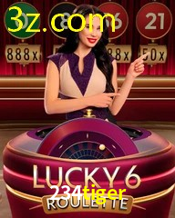 234TIGER.COM